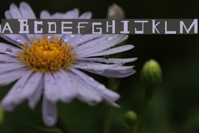 Geek Speek Font examples