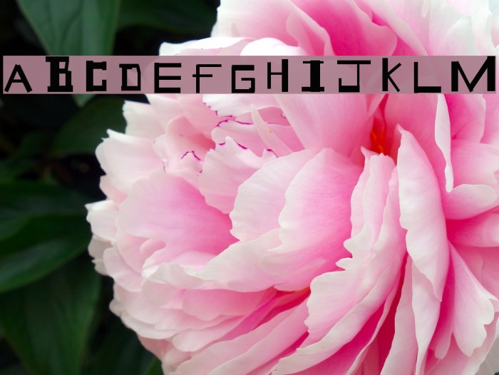 Geek Speek Font examples