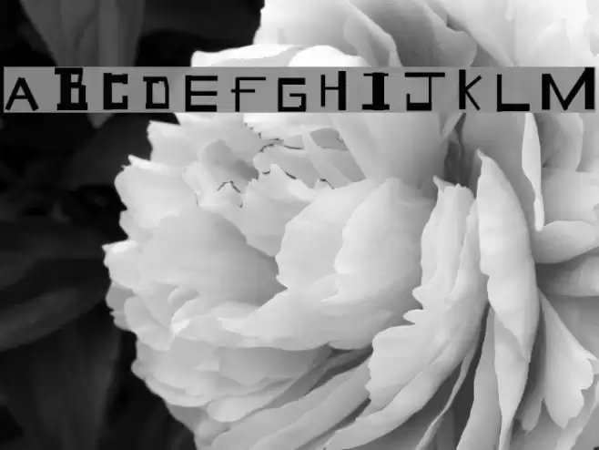 Geek Speek フォント examples