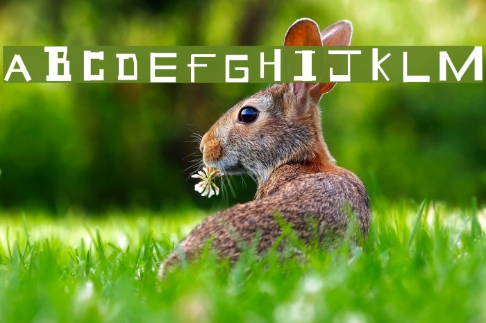 Geek Speek Font examples