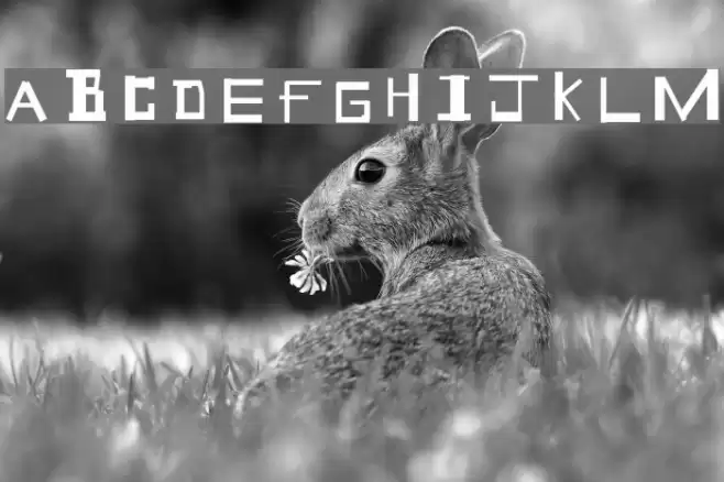 Geek Speek フォント examples