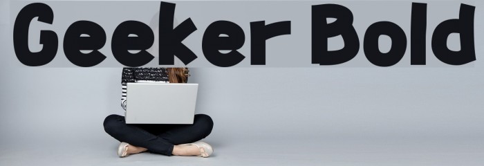 Geeker Bold Example 2