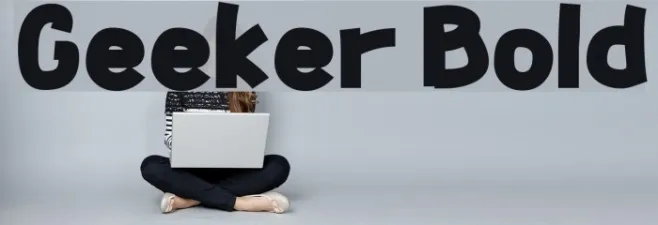 Geeker Bold Example 2