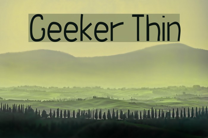 Geeker Thin Example 1