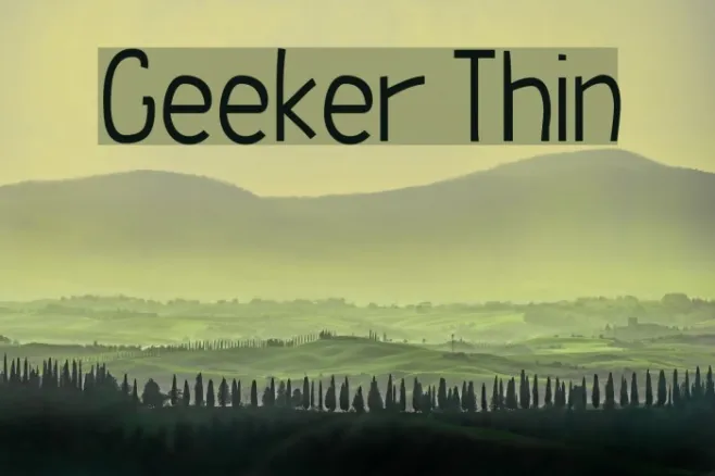 Geeker Thin Example 1