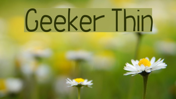 Geeker Thin Example 2