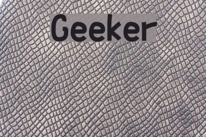 Geeker Example 1