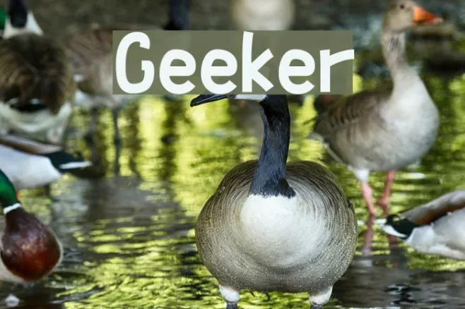 Geeker Example 2