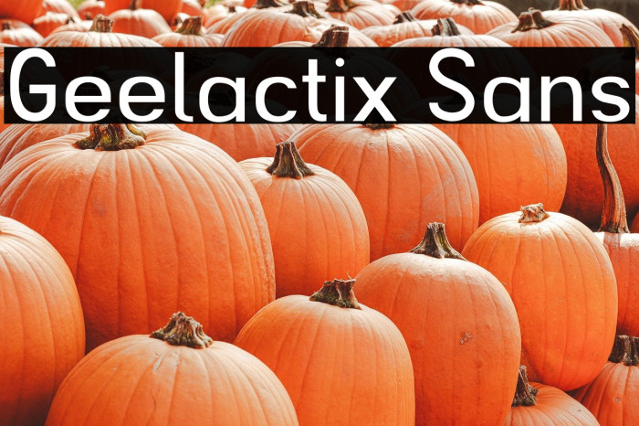 Geelactix Sans Example 3