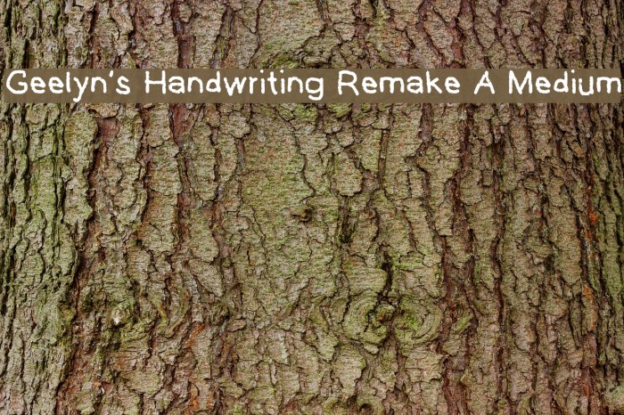 Geelyn's Handwriting Remake A Medium Font examples