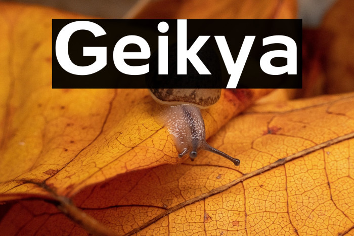 Geikya Example 1