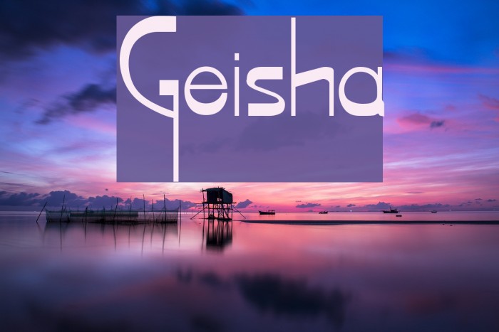 Geisha Polices examples