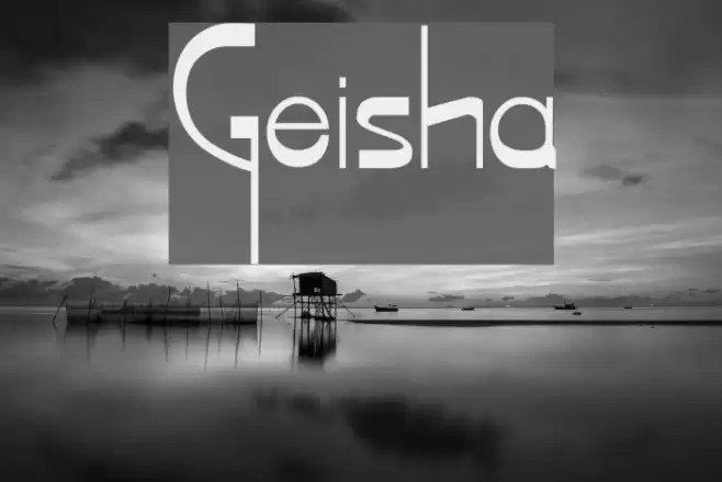 Geisha Polices examples