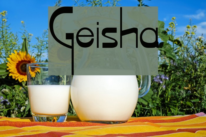 Geisha Polices examples