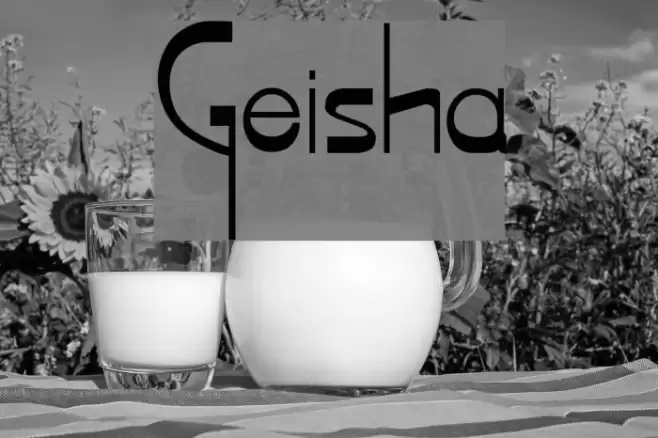 Geisha Polices examples