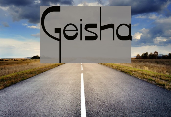Geisha Polices examples