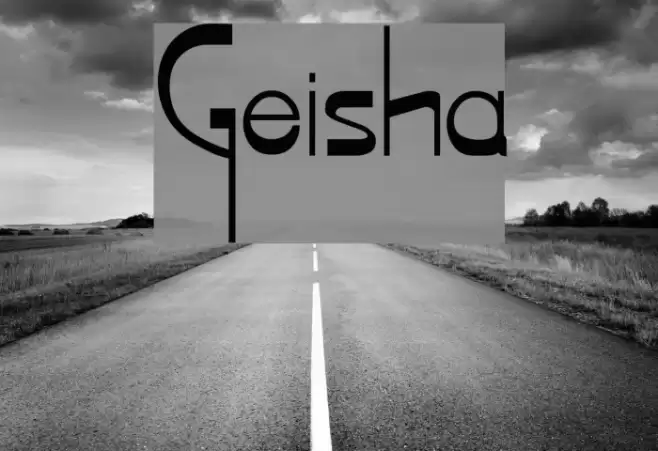 Geisha Polices examples