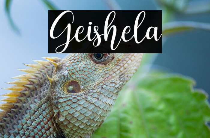 Geishela Example 2
