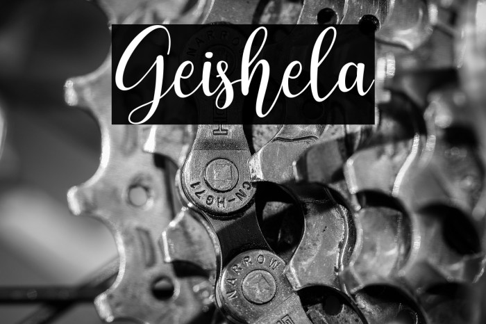 Geishela Example 3