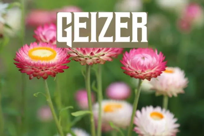 Geizer Example 1