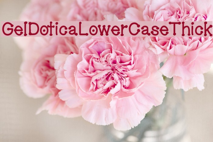 GelDoticaLowerCaseThick Font examples