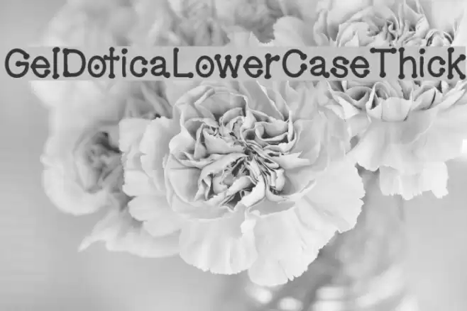 GelDoticaLowerCaseThick Fonte examples