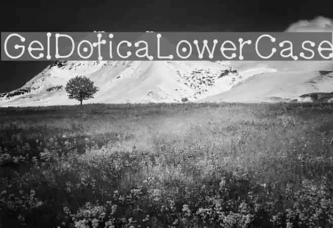GelDoticaLowerCase Font examples