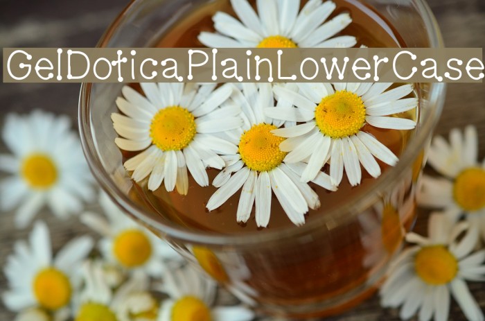 GelDoticaPlainLowerCase Example 1