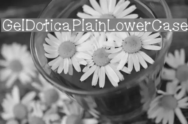 GelDoticaPlainLowerCase examples