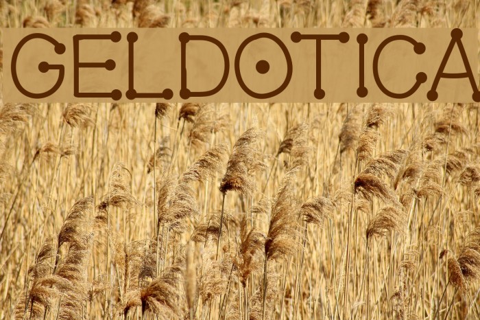 GelDotica Font examples