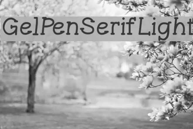 GelPenSerifLight Schriftart examples