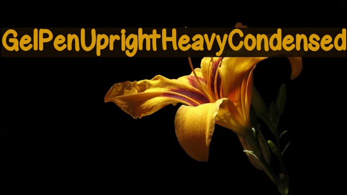 GelPenUprightHeavyCondensed Font examples