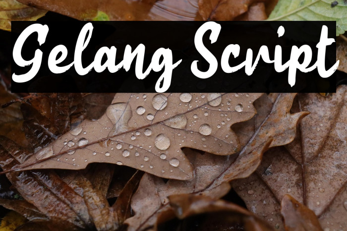 Gelang Script Example 1