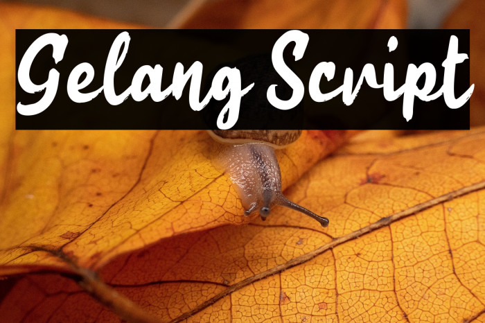 Gelang Script Example 2