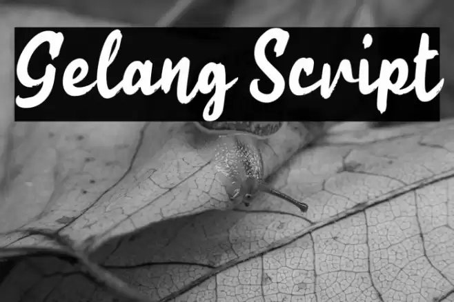 Gelang Script Font examples