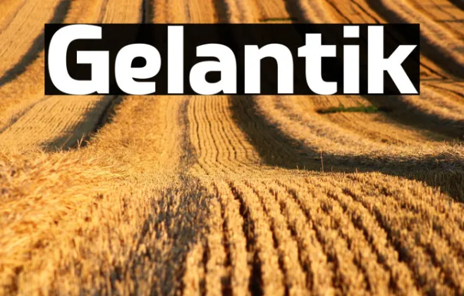 Gelantik Example 2