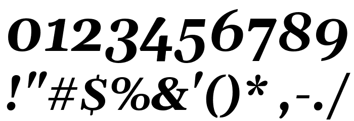 Gelasio Bold Italic Font OTHER CHARS