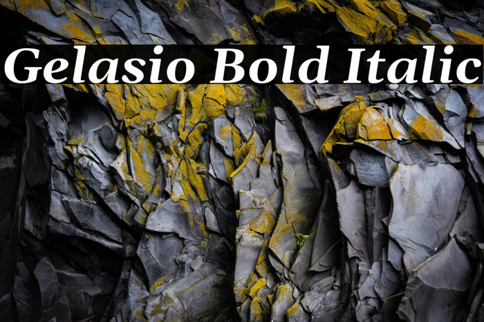Gelasio Bold Italic Font examples