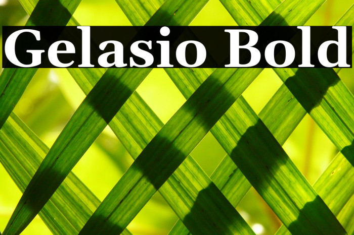 Gelasio Bold Font examples