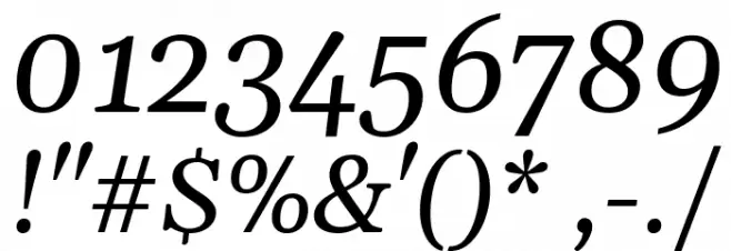 Gelasio Italic Font OTHER CHARS