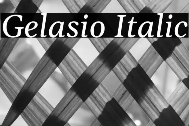 Gelasio Italic Font examples