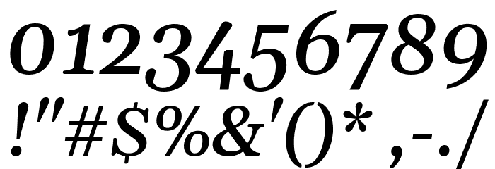 Gelasio Medium Italic Font OTHER CHARS