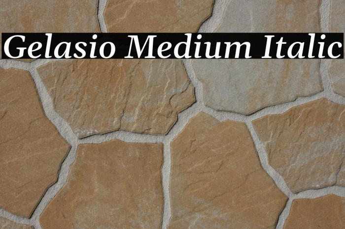 Gelasio Medium Italic Font examples