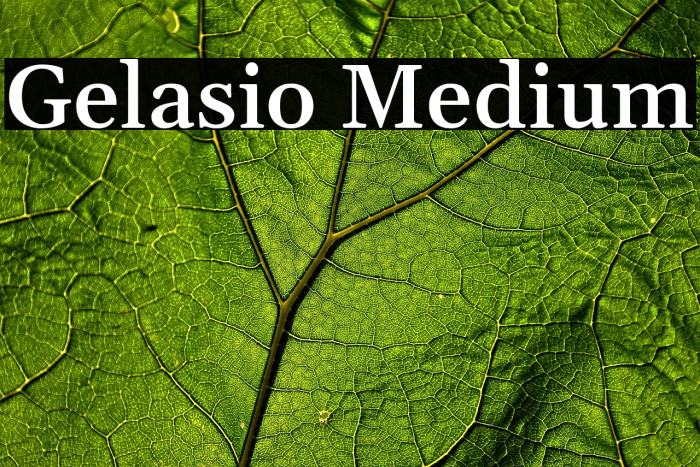 Gelasio Medium Font examples