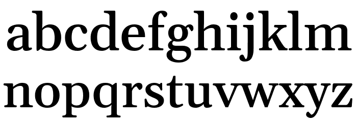 Gelasio Medium Font LOWERCASE