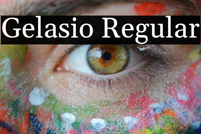 Gelasio Regular Font examples