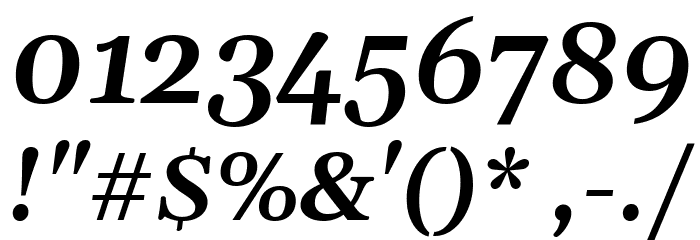 Gelasio SemiBold Italic Font OTHER CHARS