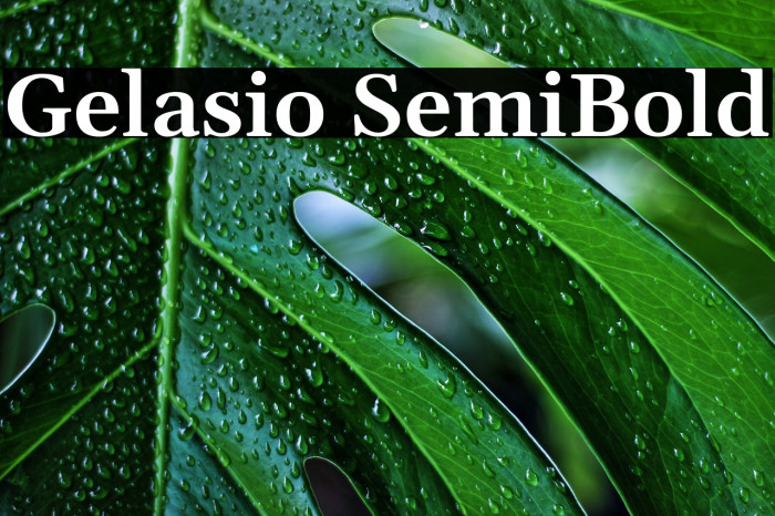 Gelasio SemiBold Font examples