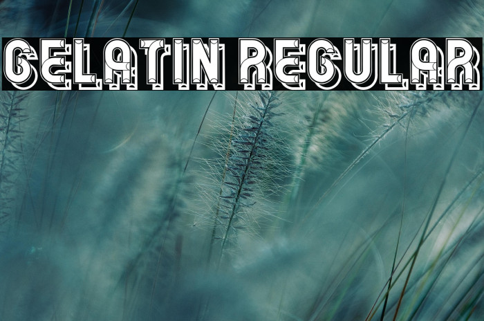 Gelatin Regular Example 3