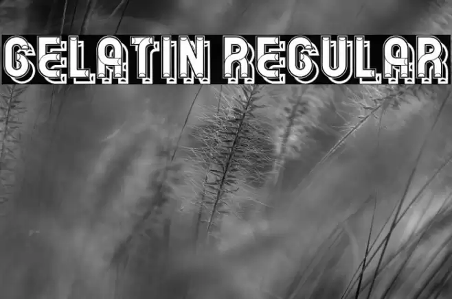 Gelatin Regular Font examples